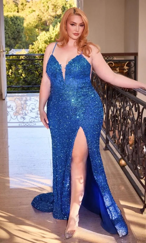 A-Line Gown Long Plus-Size Formal Dress Cd840C by Ladivine
