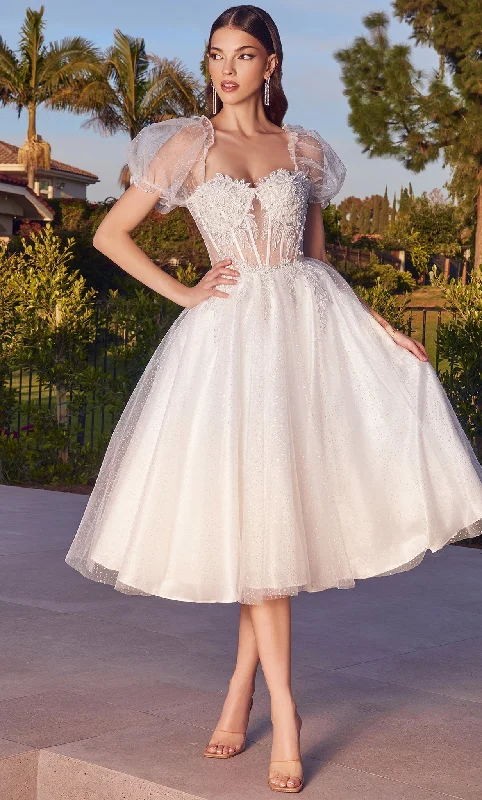 Luxe Satin Dress Ladivine CD0187W