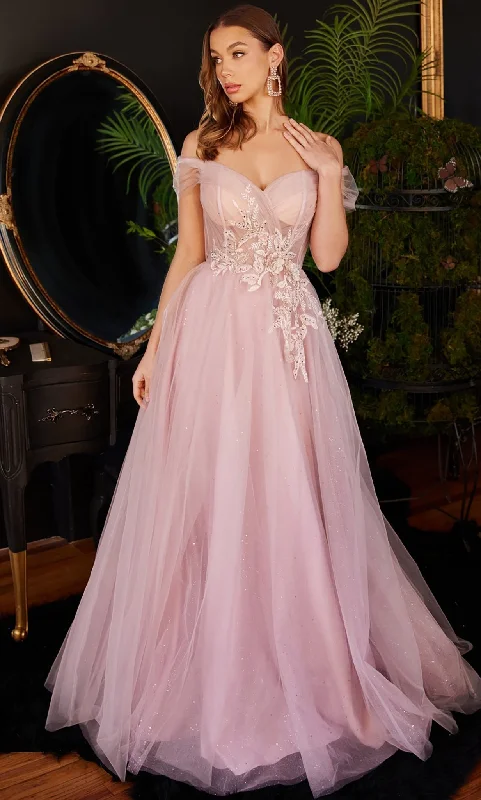 Drape Sleeve Dress Ladivine CD3394